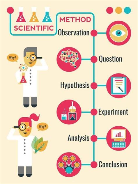 Student Mind | Scientific method, Science fair, Science infographics