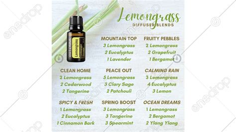 Lemongrass Diffuser Blends by WōW Designs