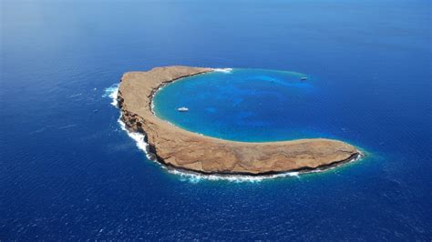 Snorkeling Molokini Crater: Maui's Underwater Gem