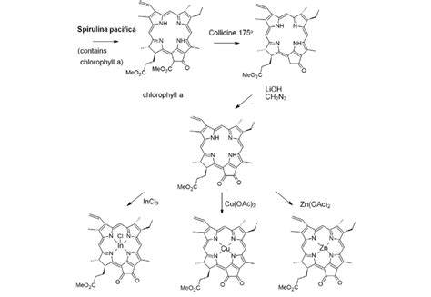 Synthetic pathway for the synthesis of a series of (metallo)derivatives ...