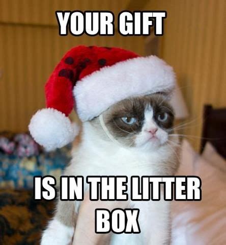 Grumpy Cat Quotes Christmas