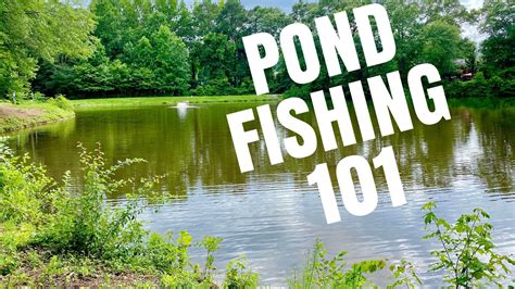 How To Fish Small Ponds- Bass Fishing Tips - YouTube