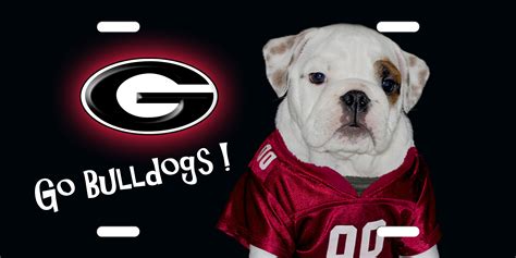 Georgia Bulldogs Wallpaper and Screensavers (52+ images)