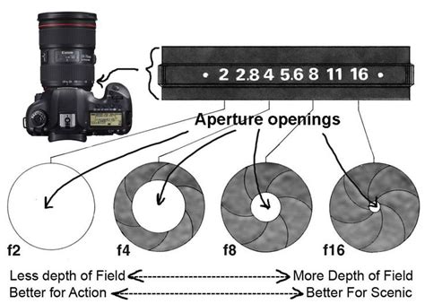 an image of a camera with its lens and parts labeled in the diagram above it