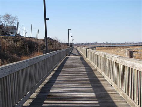 Winter Bird Watching in Raritan Bay Waterfront Park in South Amboy