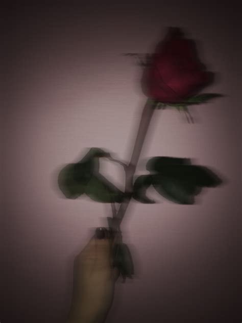 Aesthetic Rose Wallpaper - #wallpaper #rose #flowers #phone #simple # ...