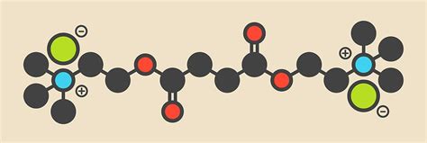 Suxamethonium Chloride Molecule Photograph by Molekuul - Pixels