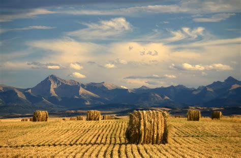 BDOZone | Alberta Scenic With Agriculture and Harvest Theme - BDOZone