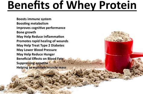 whey protein benefits - Fresh fitness