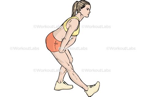 Standing Hamstring Stretch – WorkoutLabs Exercise Guide