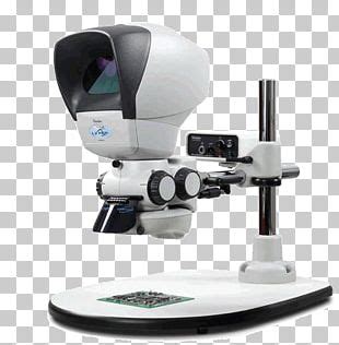 Rudolf Virchow Cell Theory Pathology Optical Microscope PNG, Clipart, Anatomy, Beard, Biologist ...