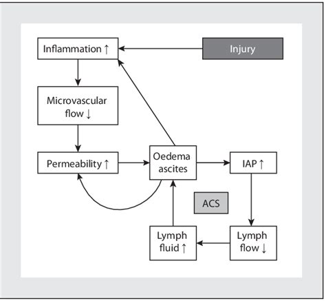 Pathophysiology of abdominal compartment syndrome ACS-abdominal... | Download Scientific Diagram