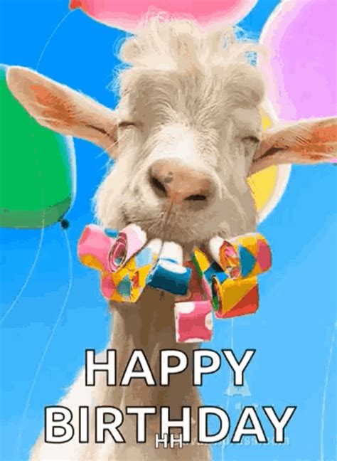 Happy Birthday Funny Goat GIF | GIFDB.com