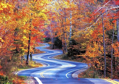 Great Wisconsin drives for fall leaves - Chicago Tribune