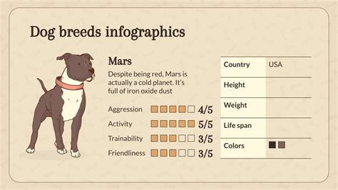 Dog Breeds and Their Personalities Infographics