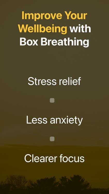 Box Breathing Exercises App by Peter Schmidt