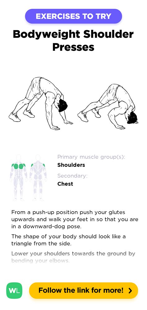 Bodyweight Shoulder Presses – WorkoutLabs Exercise Guide