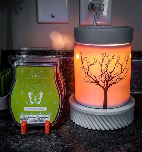 Pin by Lauren Kety on Scentsy Warmers | Scentsy warmer, Scentsy, Warmers