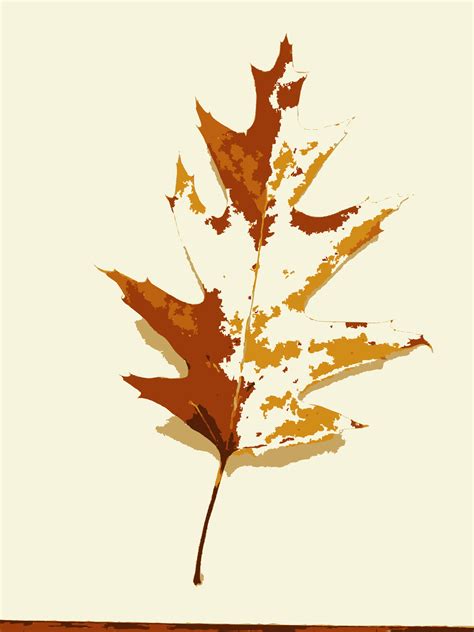 Download #00FF00 More Fall Tree Leaves 1 SVG | FreePNGImg