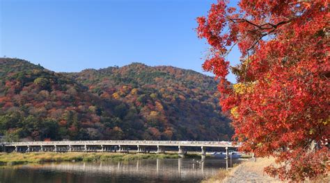 Togetsukyo Bridge in Arashiyama - Tours and Activities | Expedia