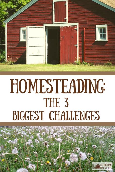 Homesteading Challenges: The 3 Biggest You'll Face | Urban homesteading, Backyard farming ...