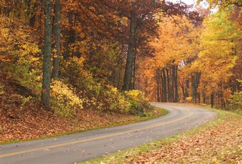 Easy Ways to See Fall Colors in Virginia's Blue Ridge | Roanoke, VA