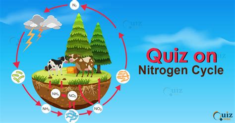 Quiz on the Nitrogen Cycle - Quiz Orbit