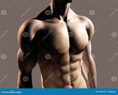 Fit Man Showing Chest And Abs Stock Illustration - Image: 4433773