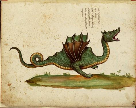 Dragones medievales Pinterest | public domain dragons | Dragones | Pinterest | Dragons, Monsters ...