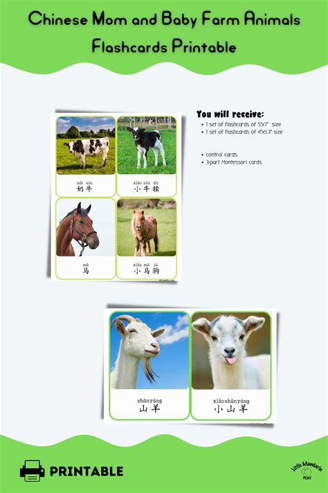 Mom and Baby Farm Animals Montessori Chinese Flashcards