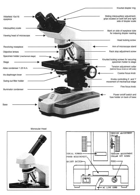 Binocular Microscope Sketch at PaintingValley.com | Explore collection of Binocular Microscope ...