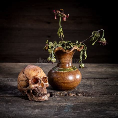 Still Life with a Skull and Vase, Stock Photo - Image of retro, grunge ...