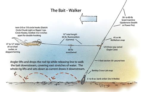 Channel Cat Rig. | 2 Cool Fishing Forum