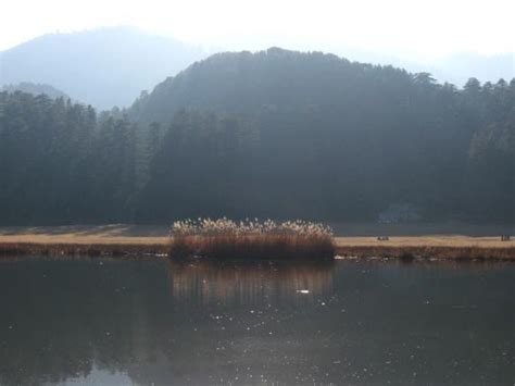 Khajjiar Lake With Floating Island - Khajjiar