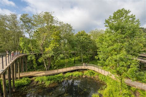 Chattahoochee Nature Center | HGOR