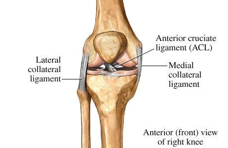 Medial Collateral Ligament Injury - Masnad Health Clinic