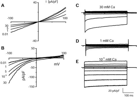 Ionic currents in control and ECaC-expressing HEK293 cells. A, ionic... | Download Scientific ...