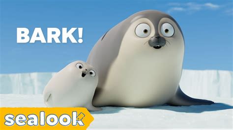 What Does the Seal Say? “BARK!”ㅣSEALOOKㅣEpisodes Compilation - YouTube