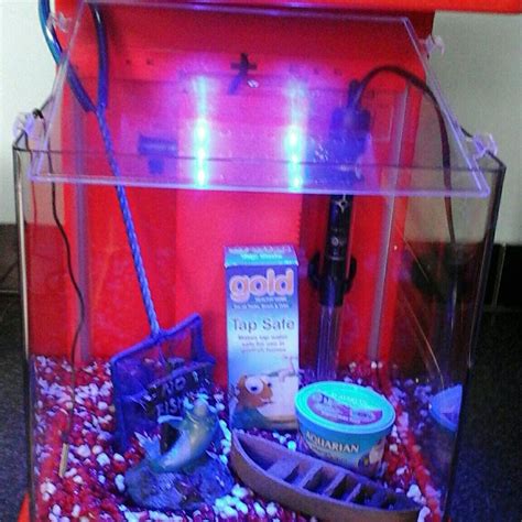 Tropical fish aqarium setup in DY13-Severn für 30,00 £ zum Verkauf | Shpock DE