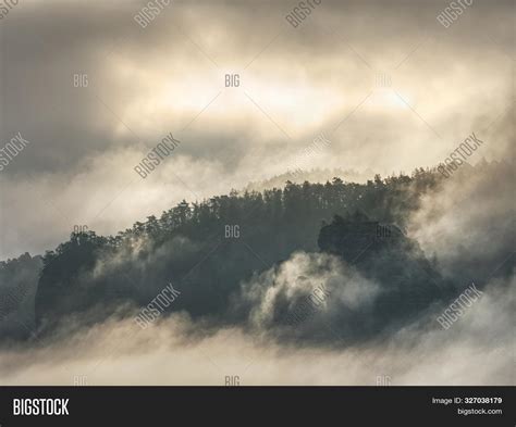 Forest. Green Mountain Image & Photo (Free Trial) | Bigstock