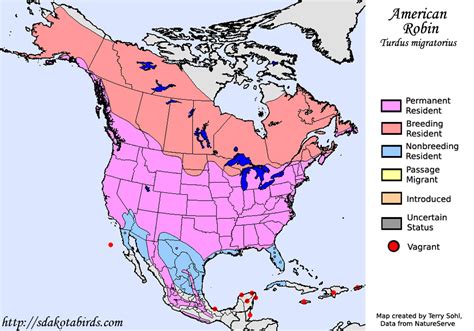 American Robin - Species Range Map