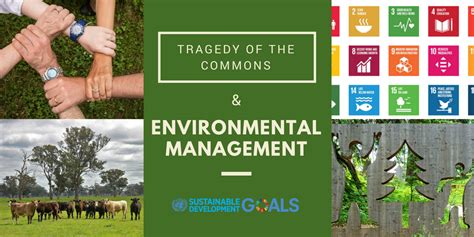 Tragedy of the Commons & Environmental Management - Integrate Sustainability