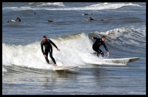 Surfing on the Scheveningen be Free Photo Download | FreeImages