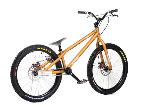 CZAR ION Plus 24″ – ECHO BIKE