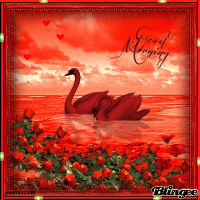 two swans in the water surrounded by red flowers with hearts on it's sides