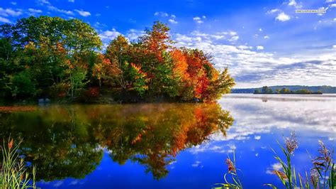 Autumn Lake Reflection, lakes, autumn, forests, reflections, HD wallpaper | Peakpx