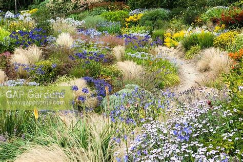 GAP Gardens - Wildside Garden, Buckland Monachoram, Devon. Designed and created by Keith Wiley ...