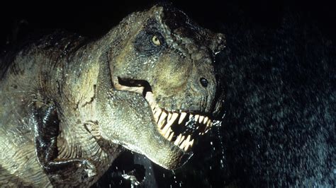Om Nom Nom: T. Rex Was, Indeed, A Voracious Hunter : NPR