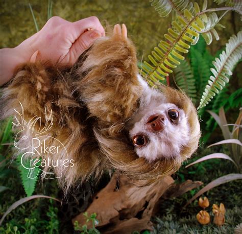 Lazy Sloth - Riker Creatures | Lazy sloths, Fantasy art dolls, Mystical animals