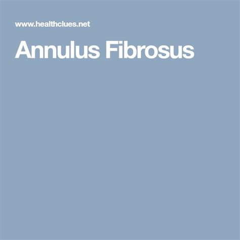 Annulus Fibrosus | Health, Health issues, Body